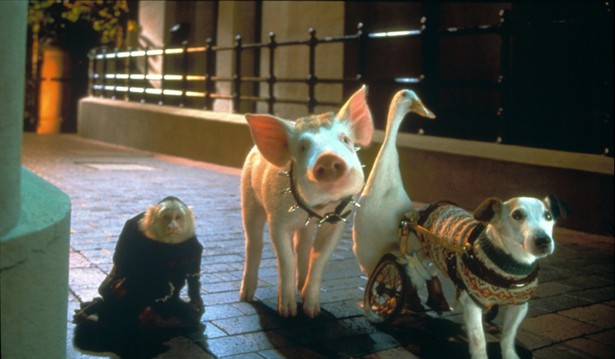 Babe: Pig In The City [1998]