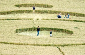 cropcircle