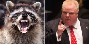 o-ROB-FORD-RACCOON-facebook