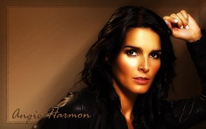 angie-harmon-hd-wallpaper-law-and-order-1332804661