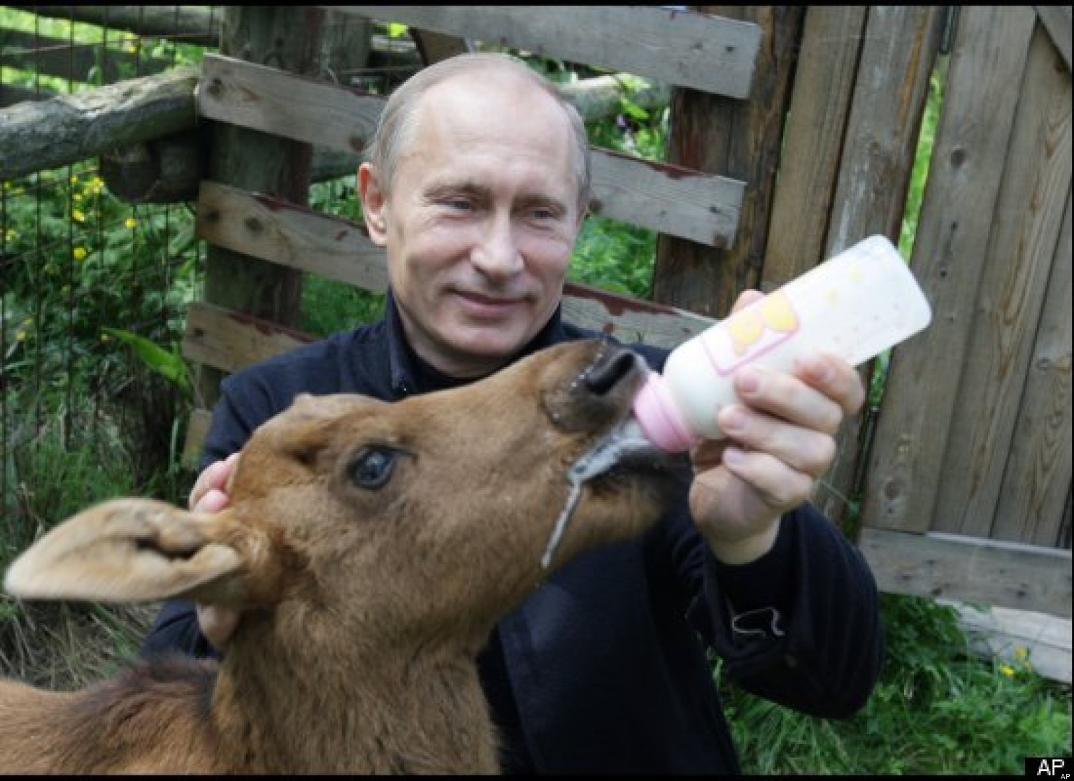 Vladimir Putin’s Pet Corner